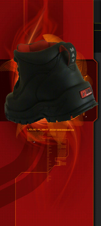 zapatos de seguridad TN2